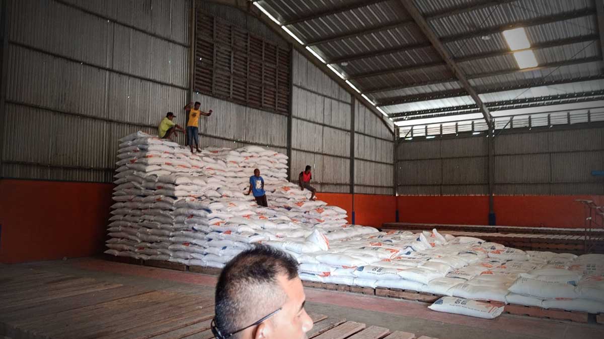 Pemerintah Mulai Terapkan Skema Baru Menyerap Beras Petani