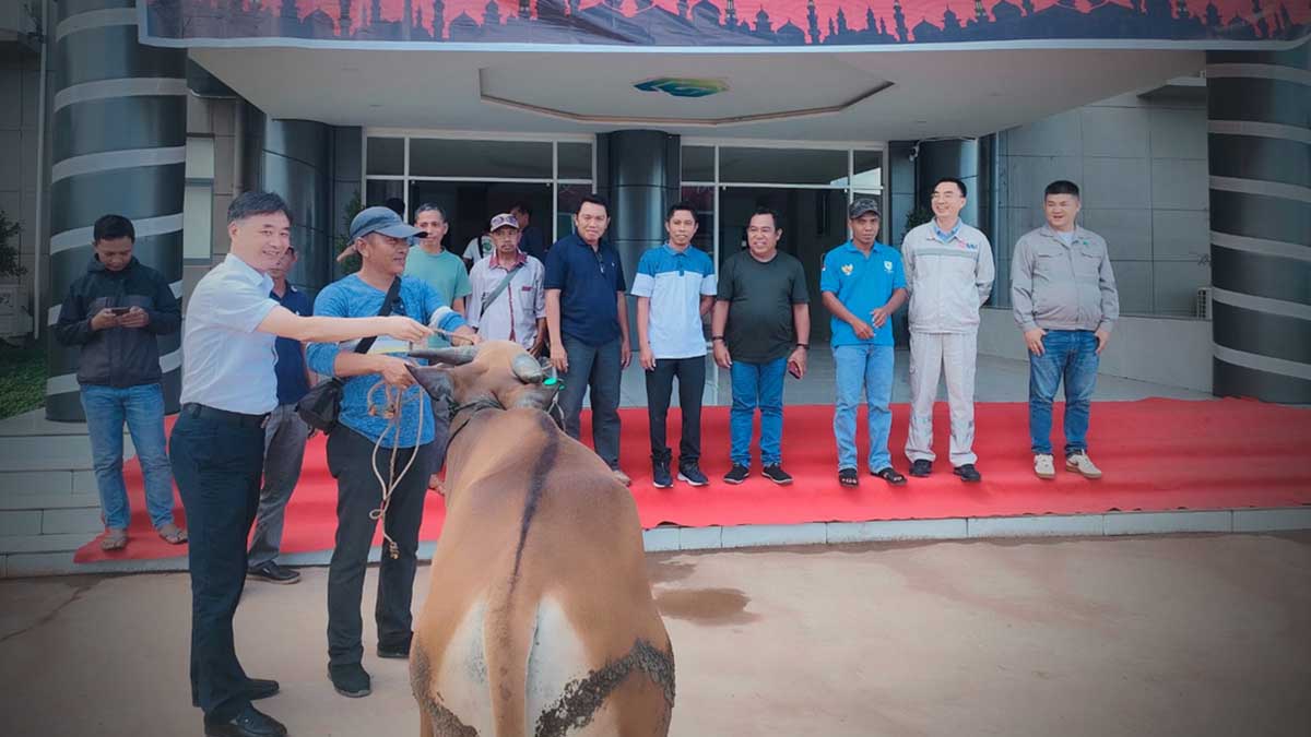 GNI Kurban 12 Sapi untuk Desa Lingkar Industri di Morowali Utara