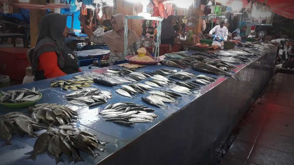 Pedagang Ikan di Parigi Moutong Resah Akibat Bangkai Babi yang Ditemukan di Laut dan Sungai