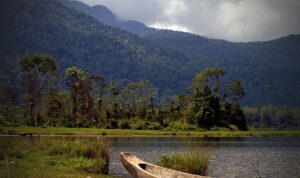 Sepintas Tentang Taman Nasional Lore Lindu Sulawesi Tengah