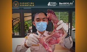 Rahang Tuna Daur Ulang Kreativitas Kuliner Berdaya Ekonomi Tinggi